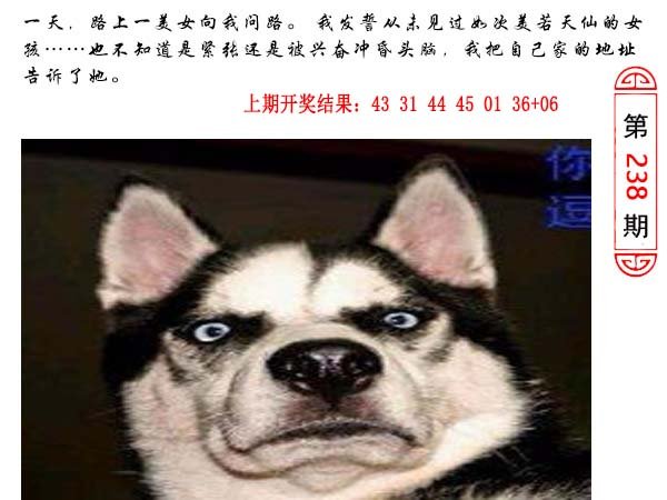 2024238期澳门生活幽默
