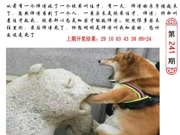 2024241期澳门生活幽默