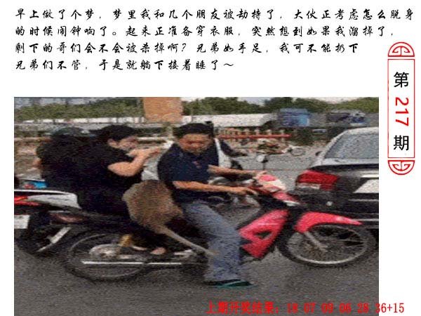 2024217期澳门生活幽默