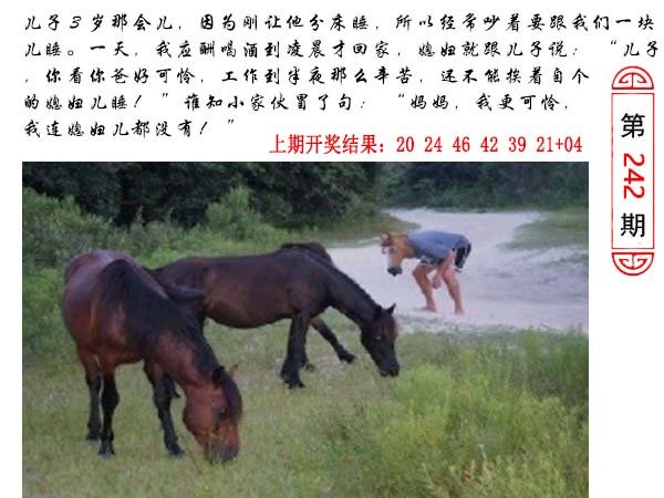 2024242期澳门生活幽默