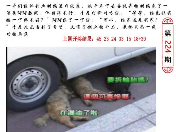 2024224期澳门生活幽默