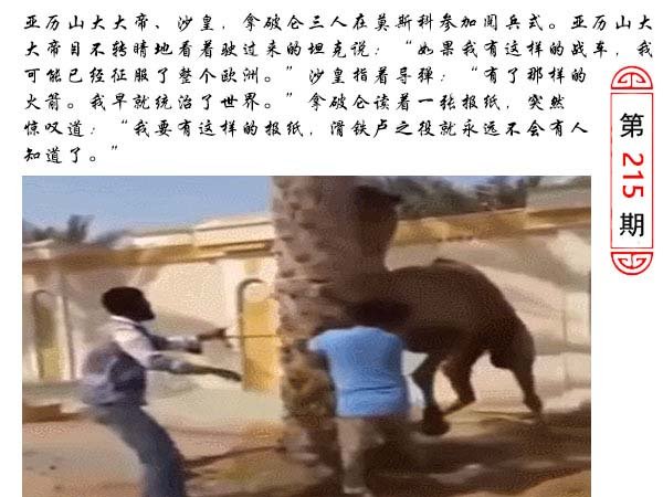 2024215期澳门生活幽默