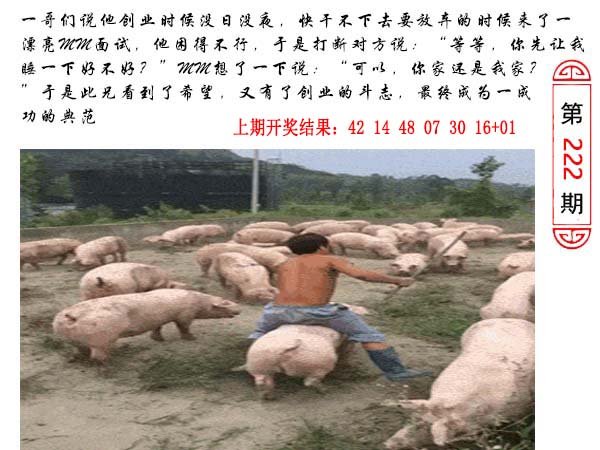 2024222期澳门生活幽默