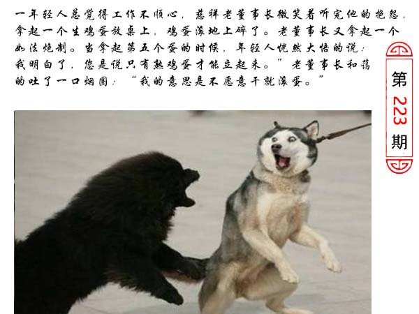 2024223期澳门生活幽默
