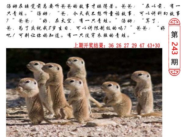 2024243期澳门生活幽默