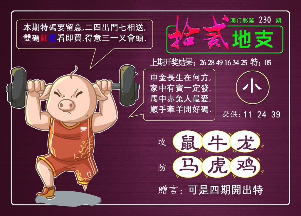 2024230期十二地支