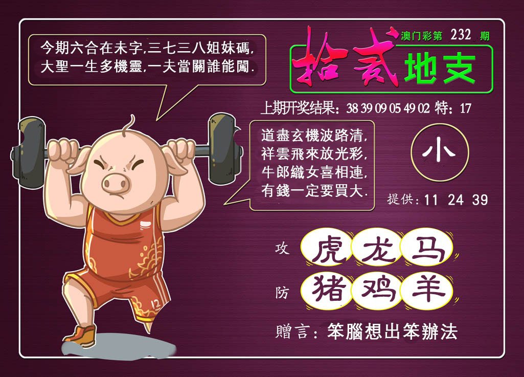 2024232期十二地支