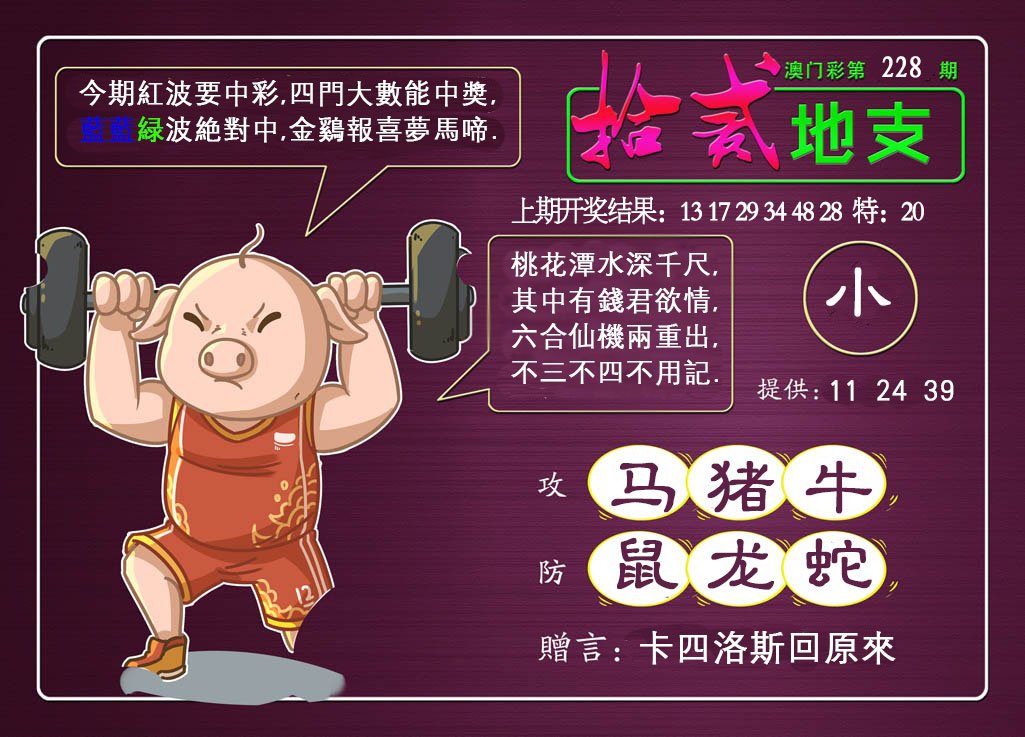 2024228期十二地支