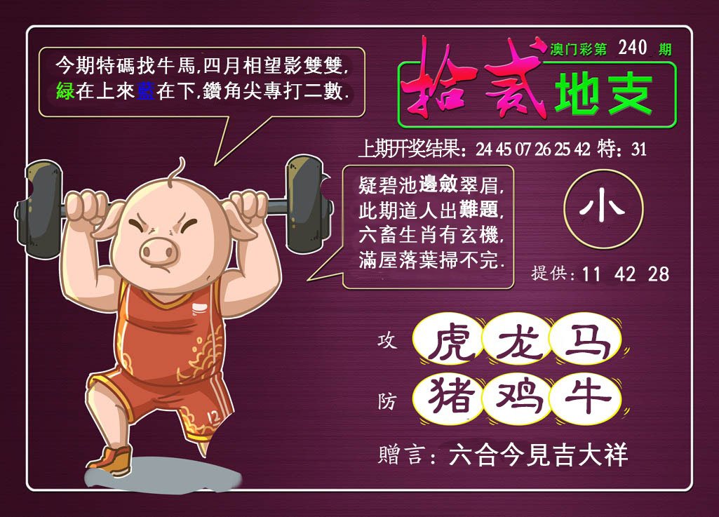 2024240期十二地支