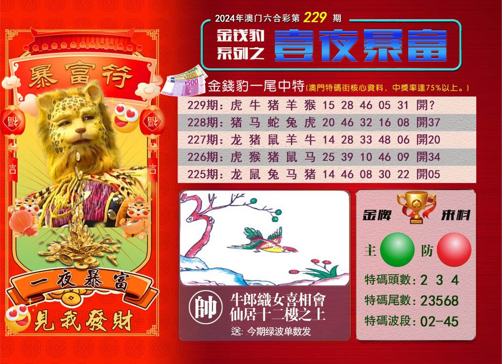 2024229期一夜暴富