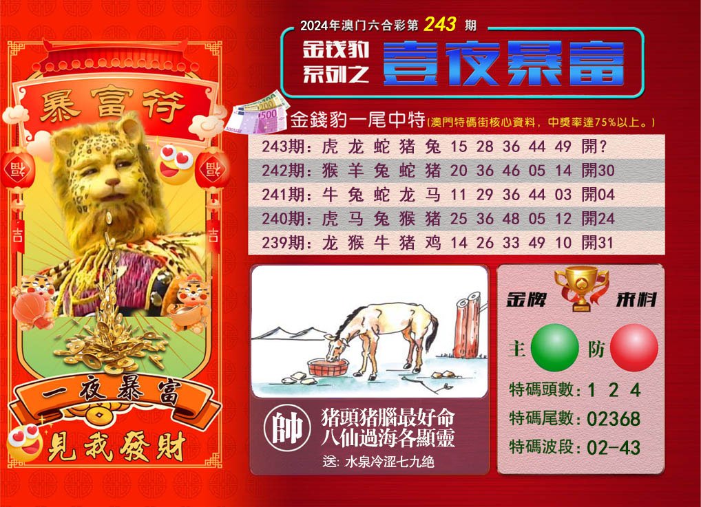 2024243期一夜暴富