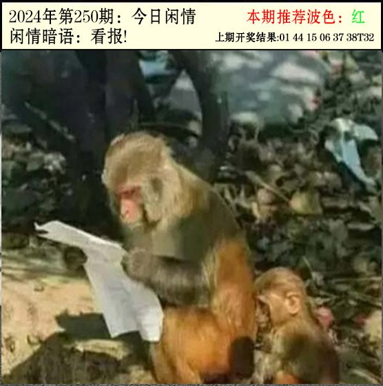 2024250期今日闲情2