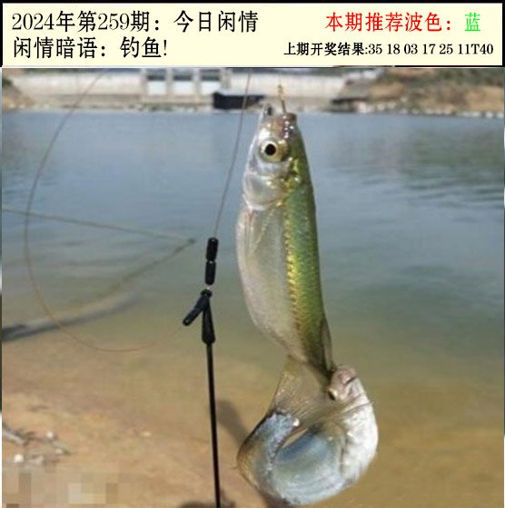 2024259期今日闲情2