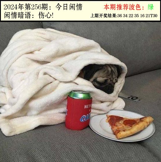 2024256期今日闲情2