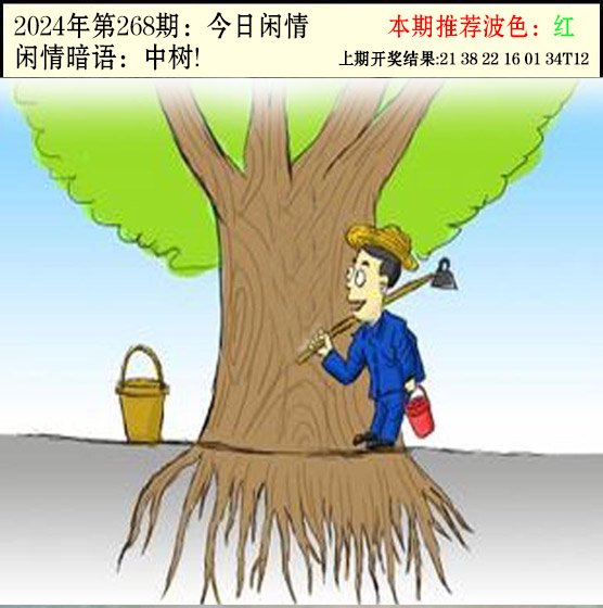 2024268期今日闲情2