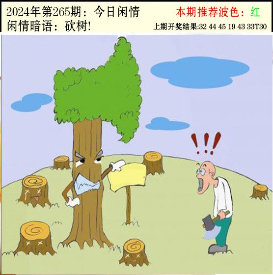 2024265期今日闲情2