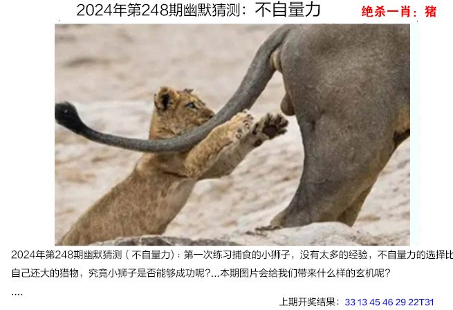 2024248期幽默猜测