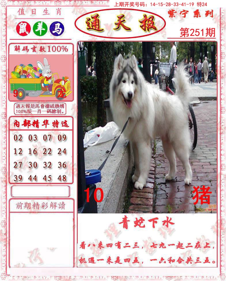 2024251期救通报