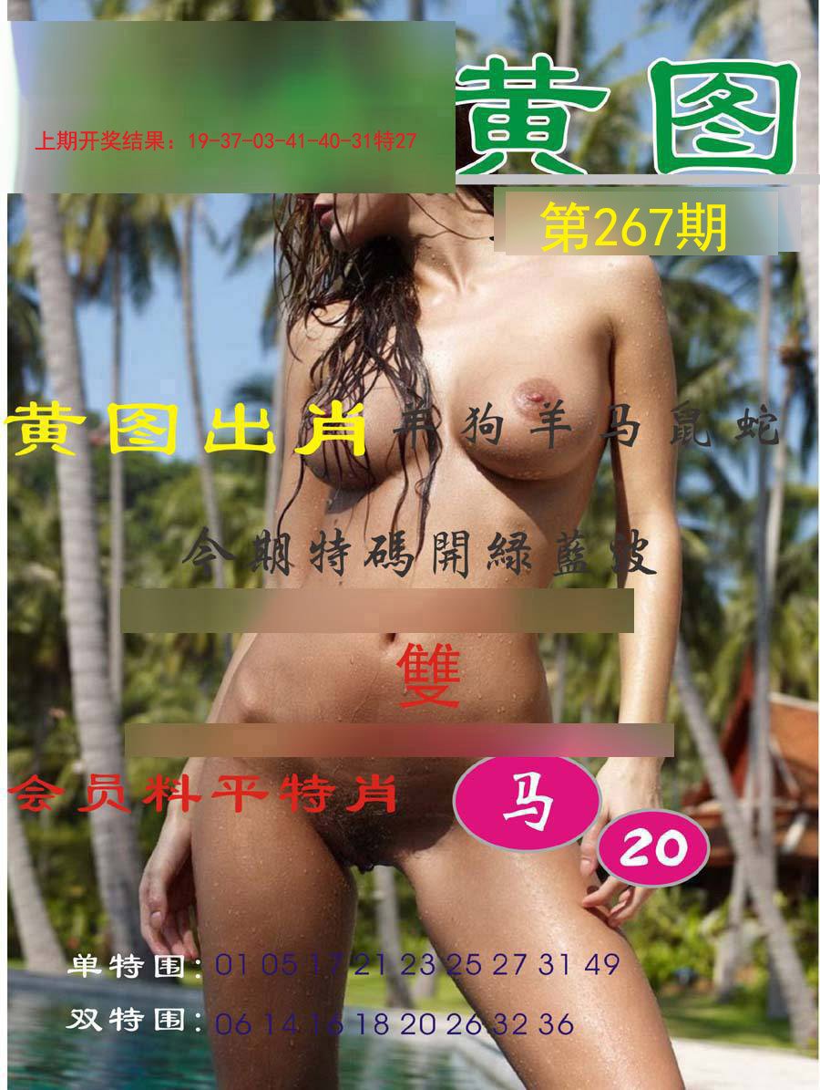 2024267期黄图