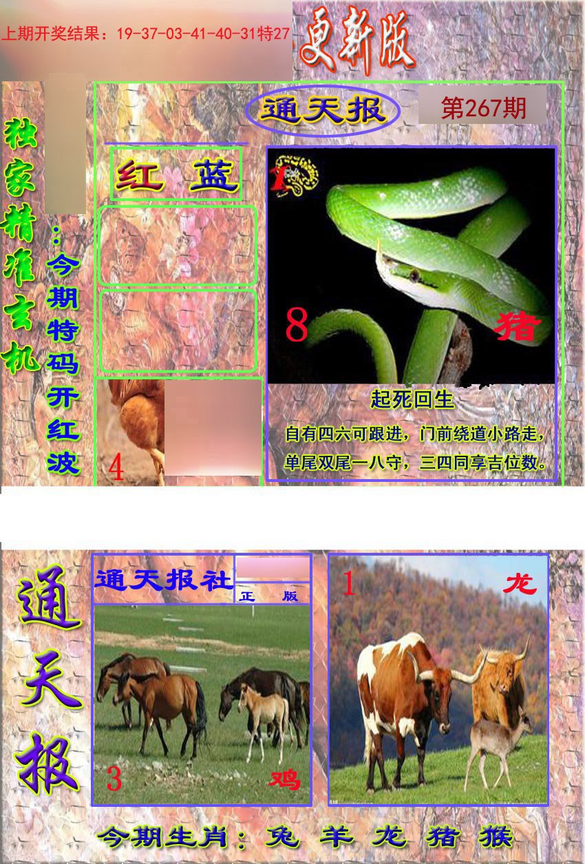 2024267期新通报