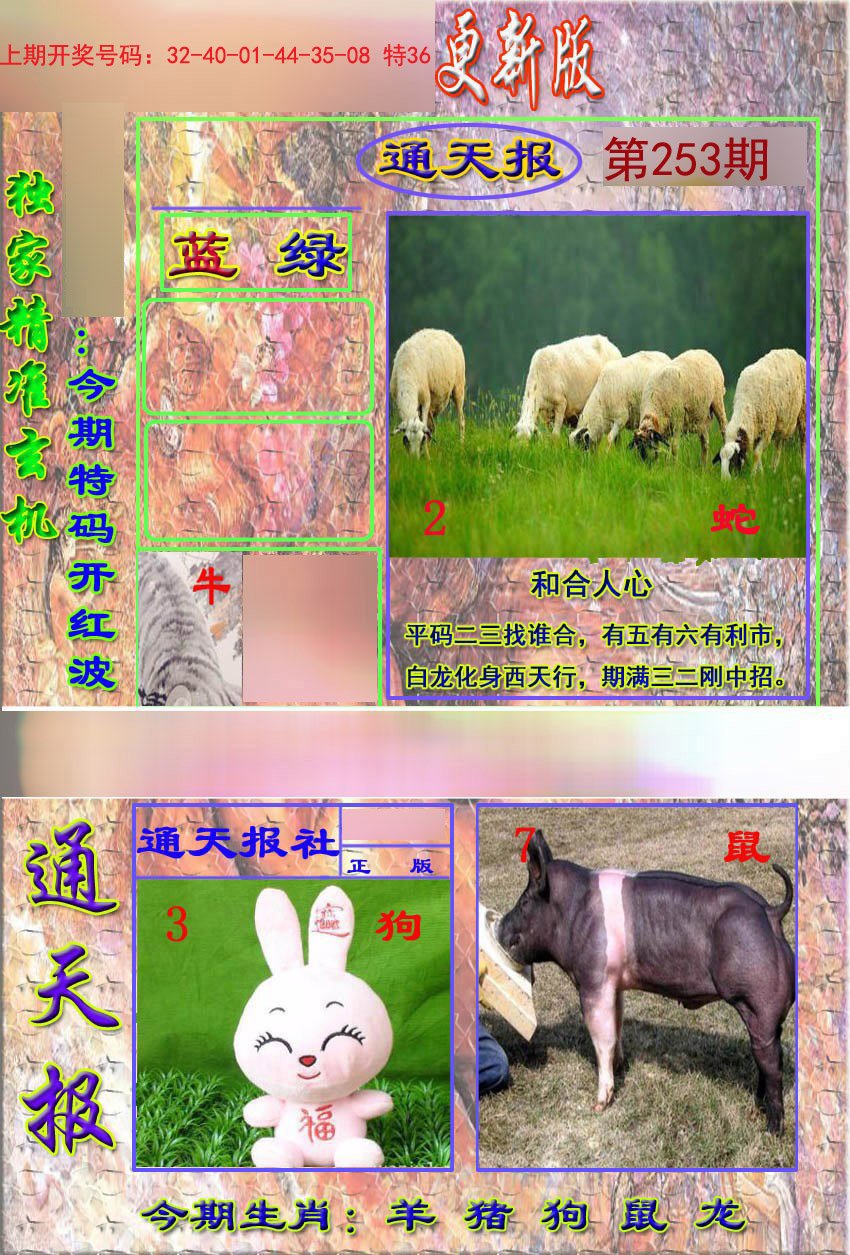 2024253期新通报