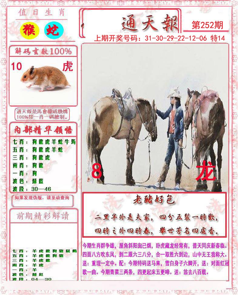 2024252期马经通天报