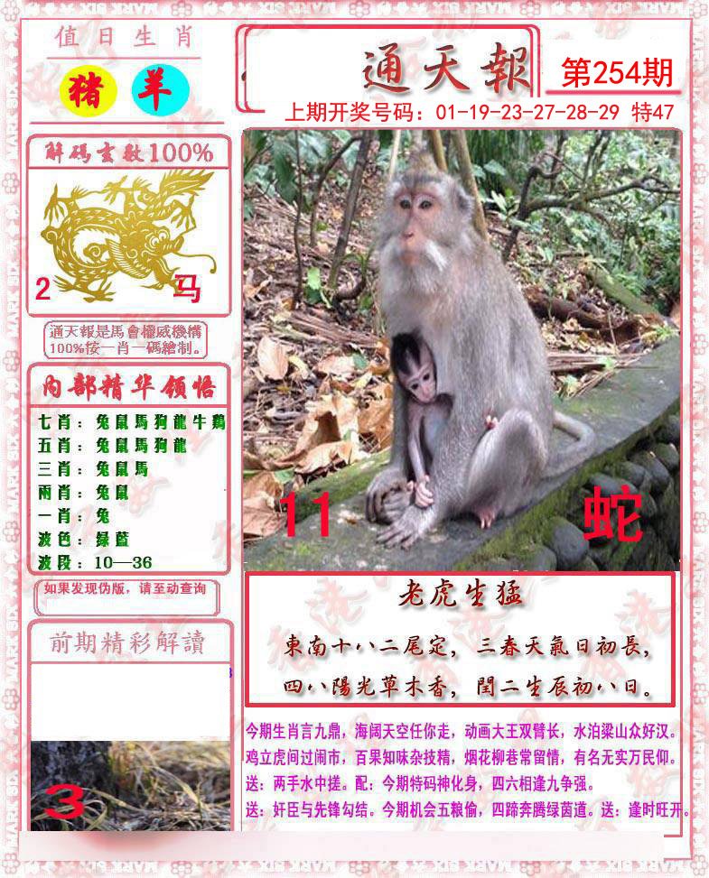 2024254期马经通天报