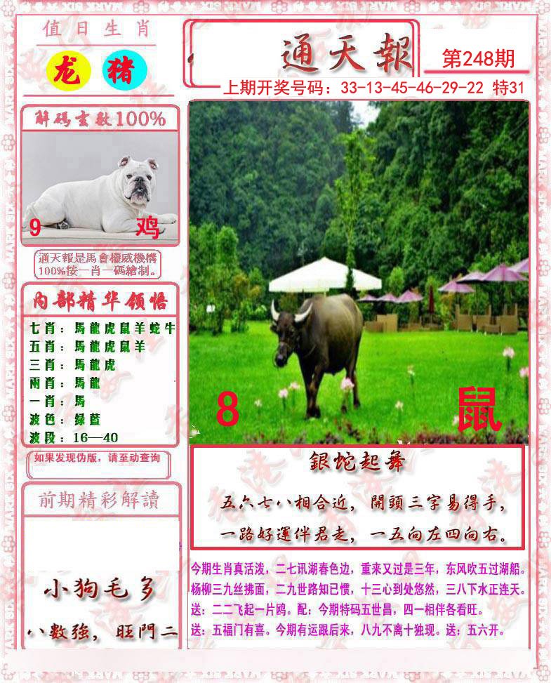2024248期马经通天报