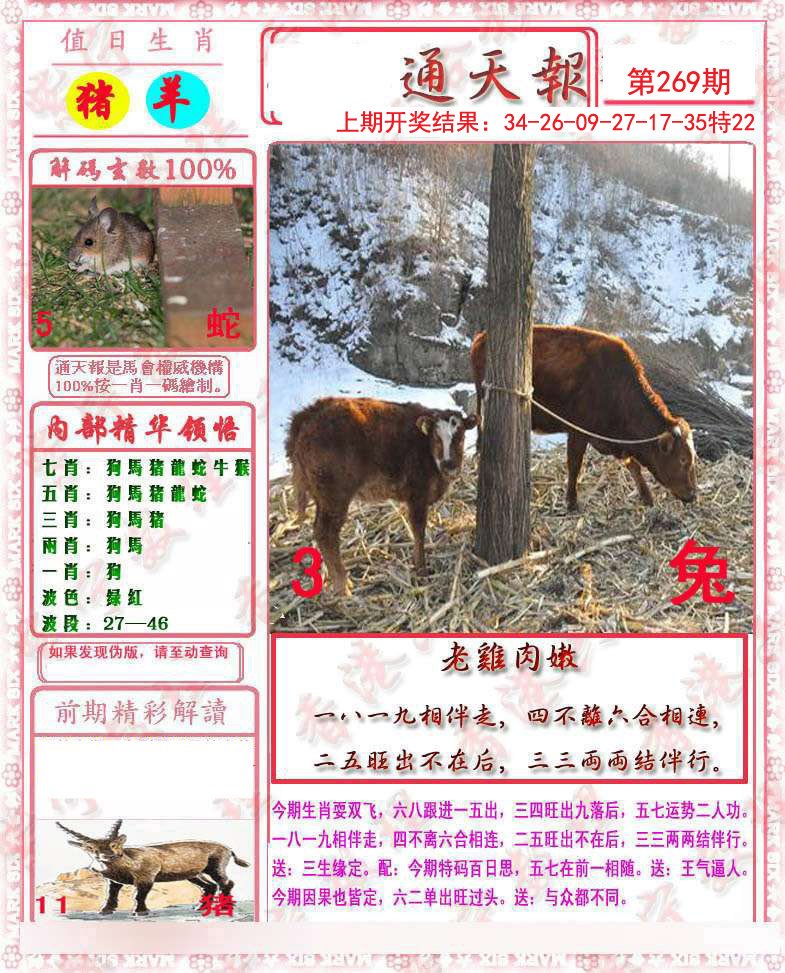 2024269期马经通天报