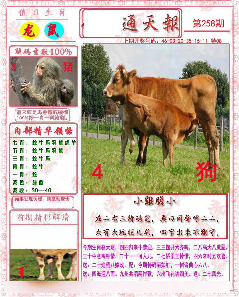 2024258期马经通天报