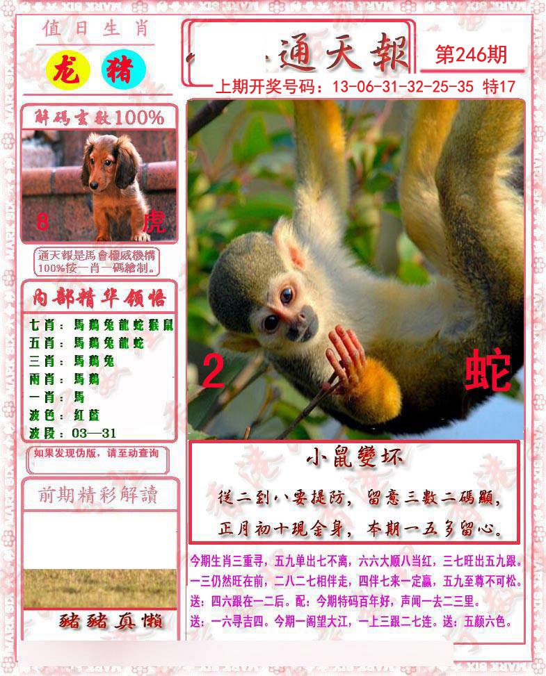 2024246期马经通天报