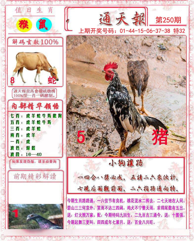 2024250期马经通天报