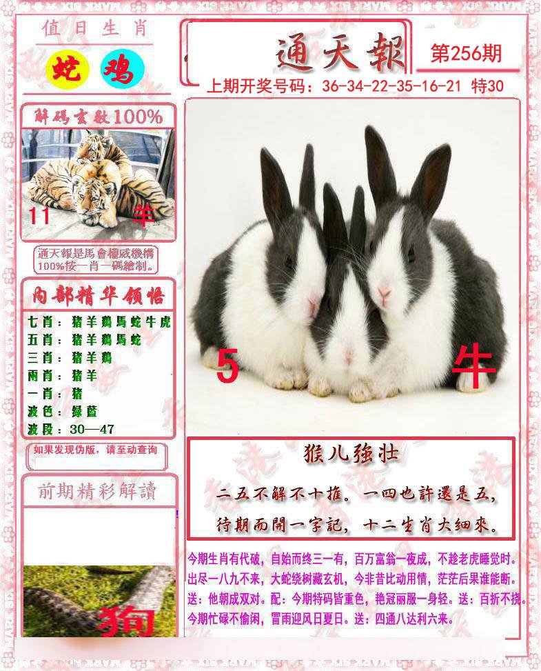 2024256期马经通天报