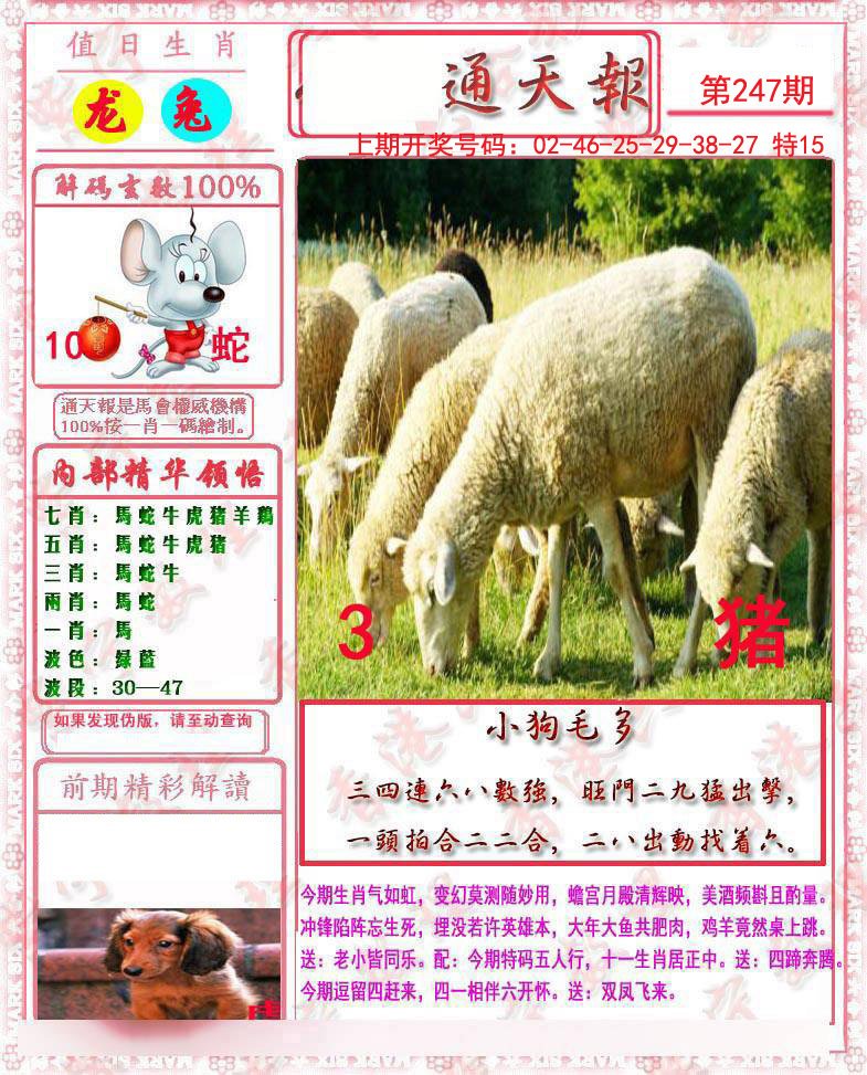 2024247期马经通天报