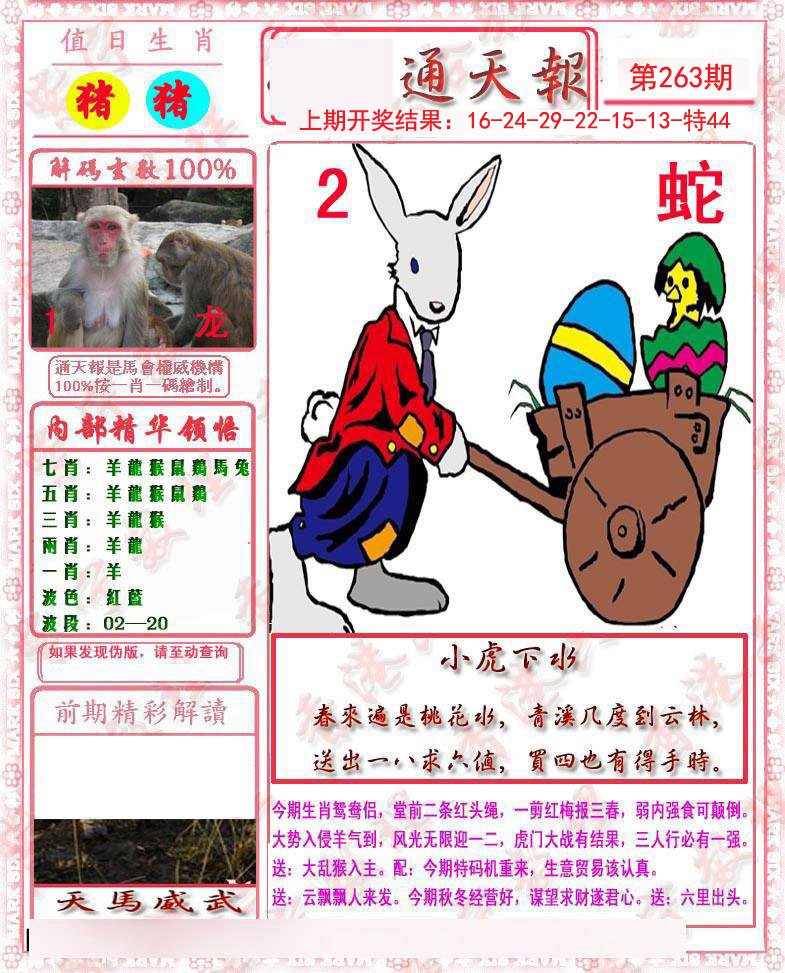 2024263期马经通天报