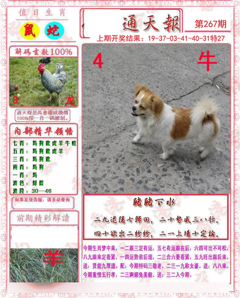 2024267期马经通天报