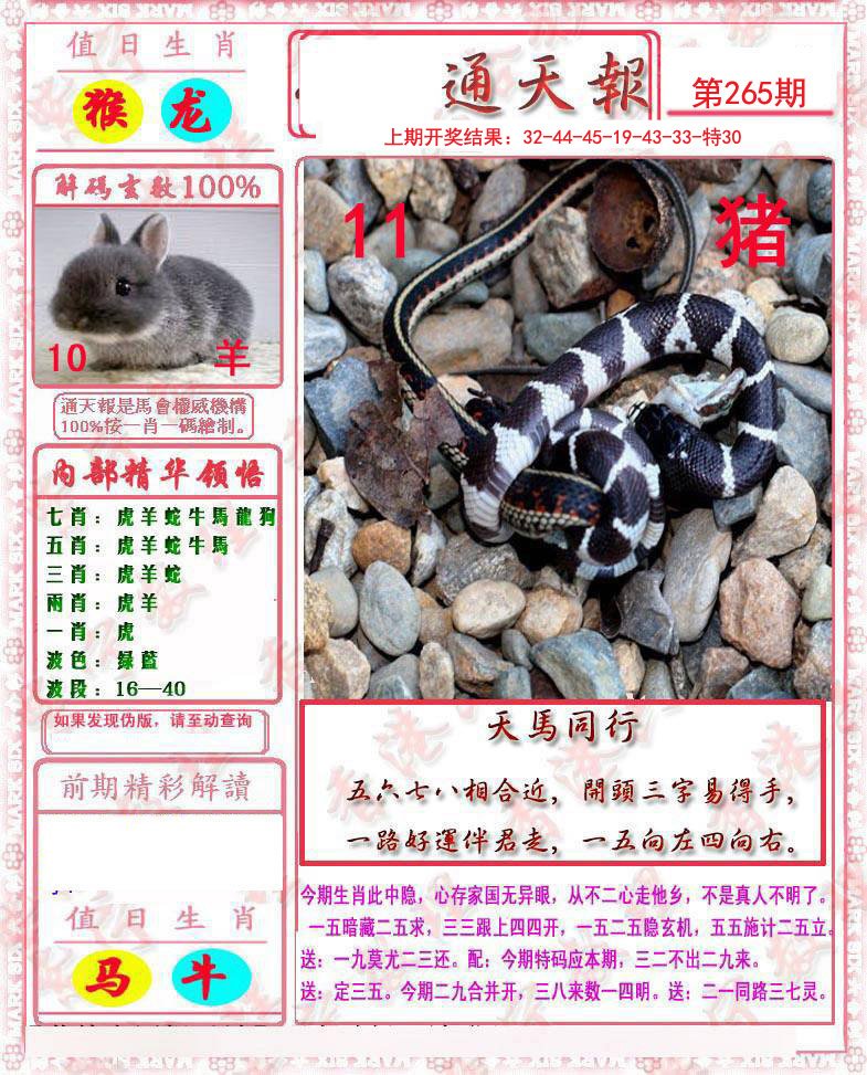 2024265期马经通天报