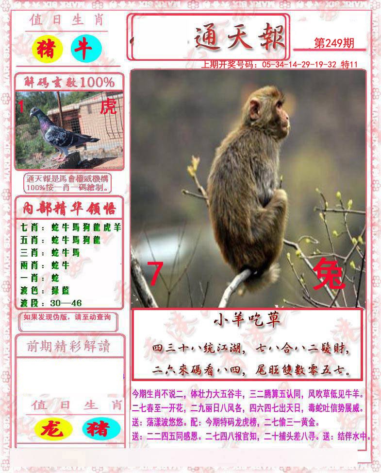2024249期马经通天报