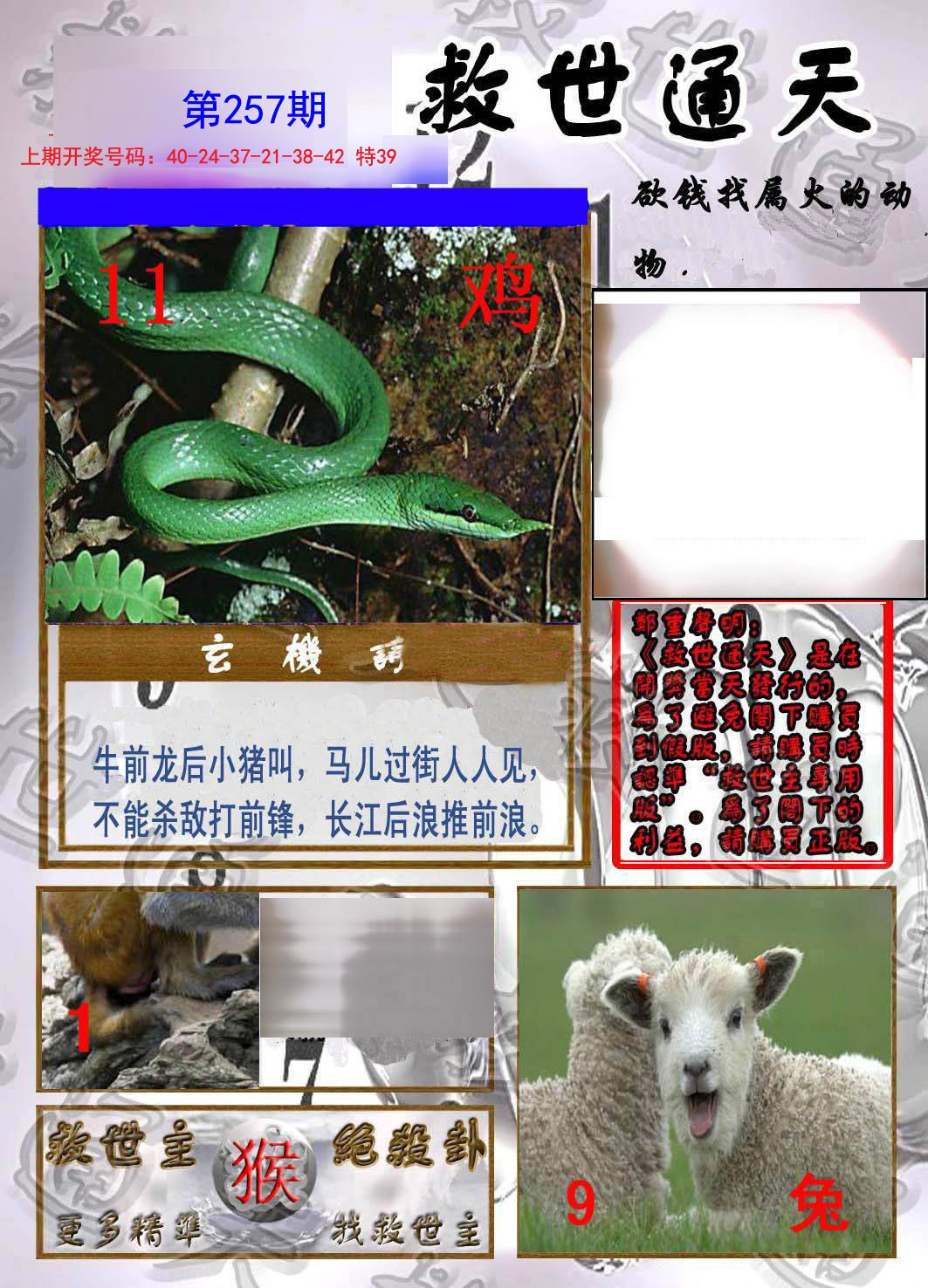 2024257期救世通天报