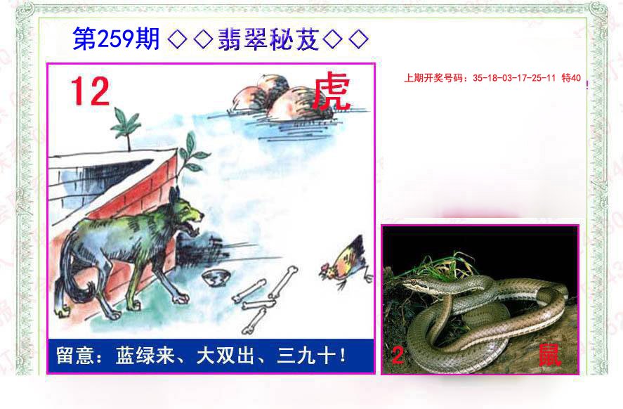 2024259期翡翠报