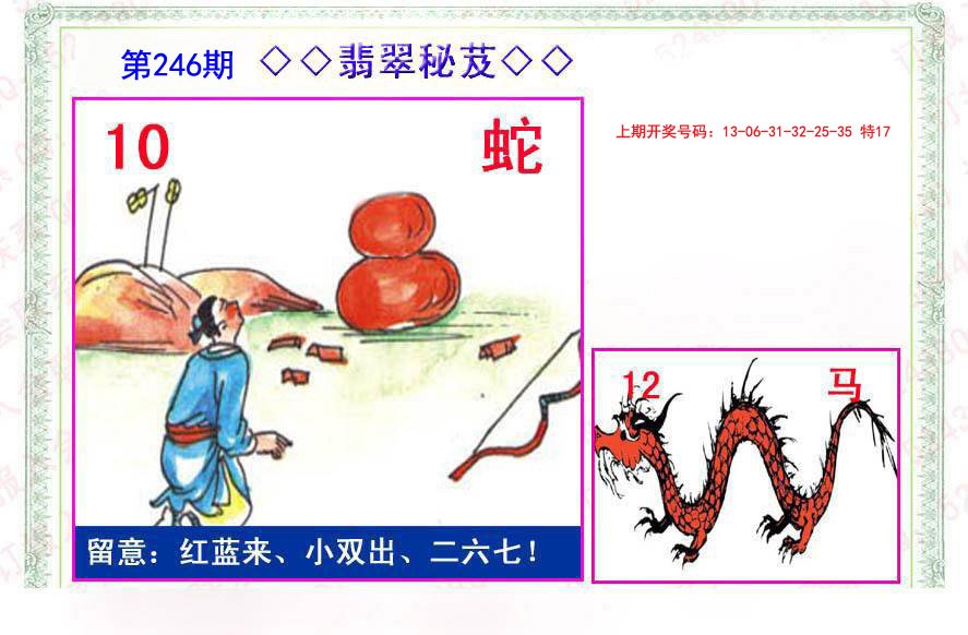 2024246期翡翠报