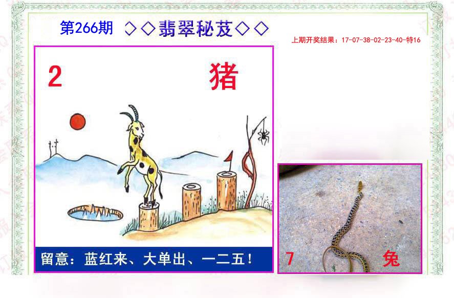 2024266期翡翠报