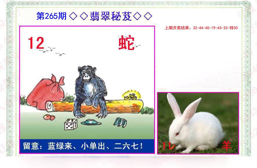 2024265期翡翠报