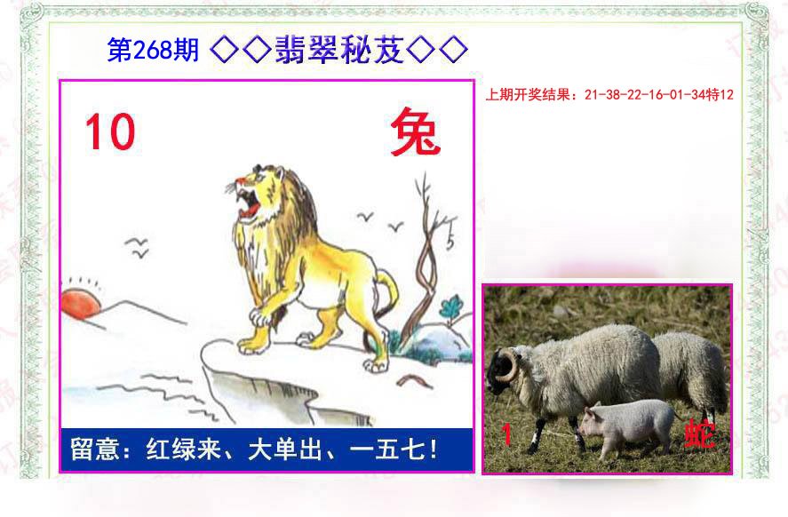 2024268期翡翠报