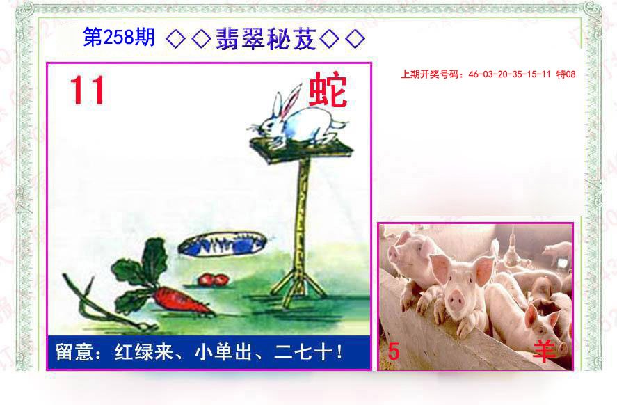 2024258期翡翠报