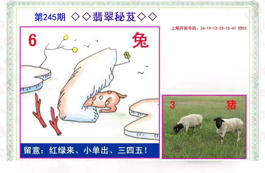 2024245期翡翠报