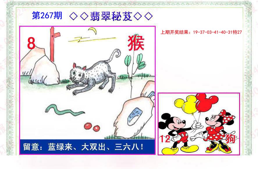 2024267期翡翠报