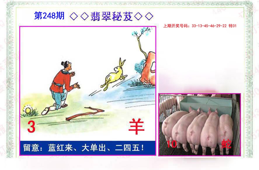 2024248期翡翠报