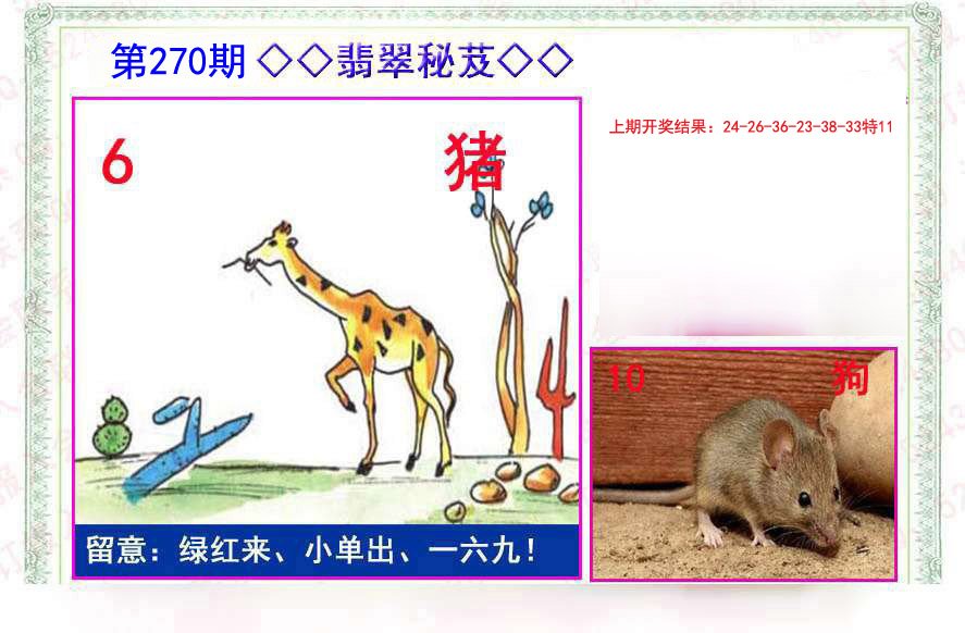 2024270期翡翠报