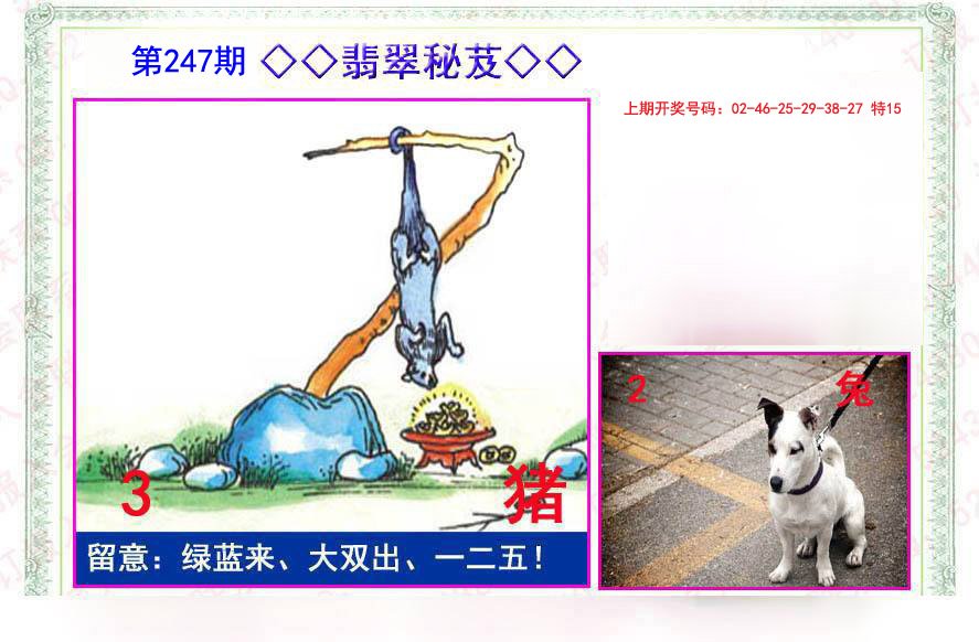 2024247期翡翠报